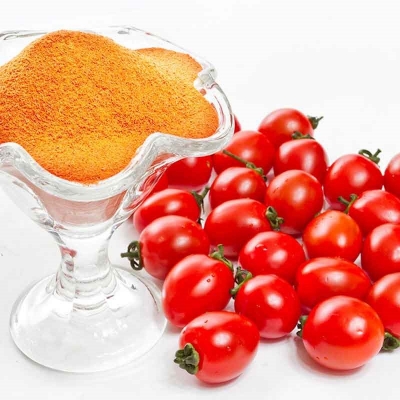 Snack Food Tomato Coating Powder